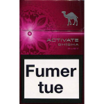 illustration pour Camel Activate Shisha Ruby